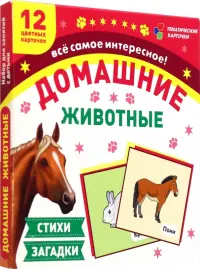 Домашние животные. 12 цветных карточек. Стихи и загадки