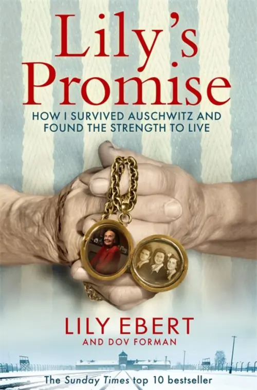 

Lily's Promise. How I Survived Auschwitz and Found the Strength to Live, Серый