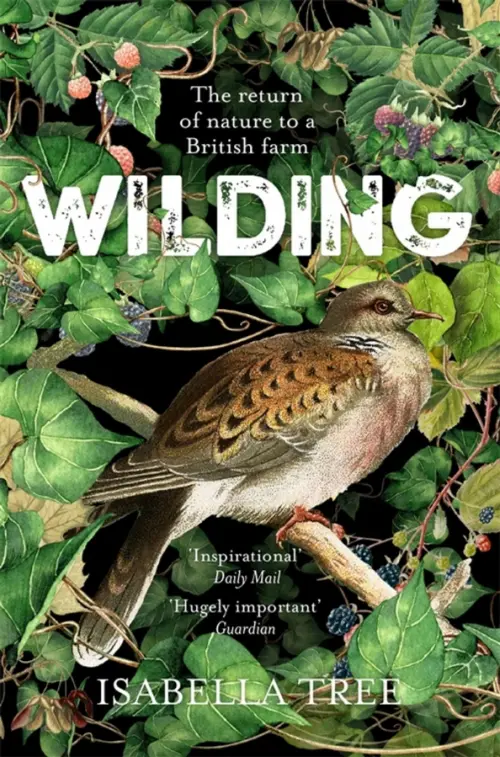 

Wilding, Зелёный