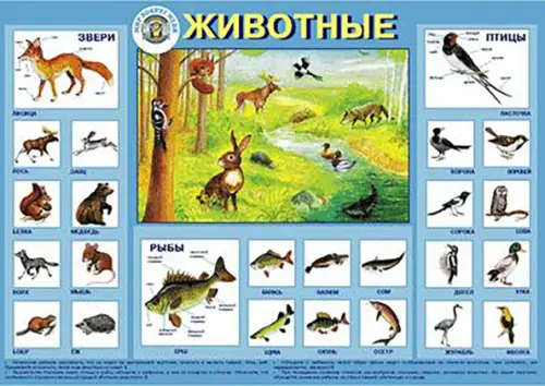 

Детский плакат. Животные, Голубой