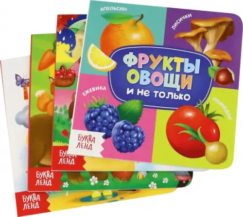 

Знакомимся с окружающим миром. Набор из 4-х книг