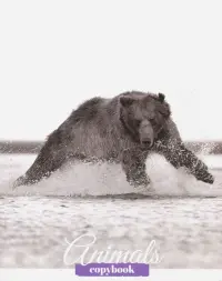 Тетрадь Дикие животные, 48 листов, А5, клетка