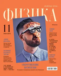 Тетрадь предметная Скандальности. Физика, 48 листов, клетка