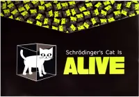 Папка для школьных тетрадей Научный кот, А4, 1 отделение