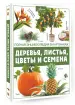 Миниатюра 2