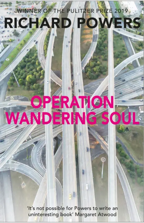 

Operation Wandering Soul, Серый