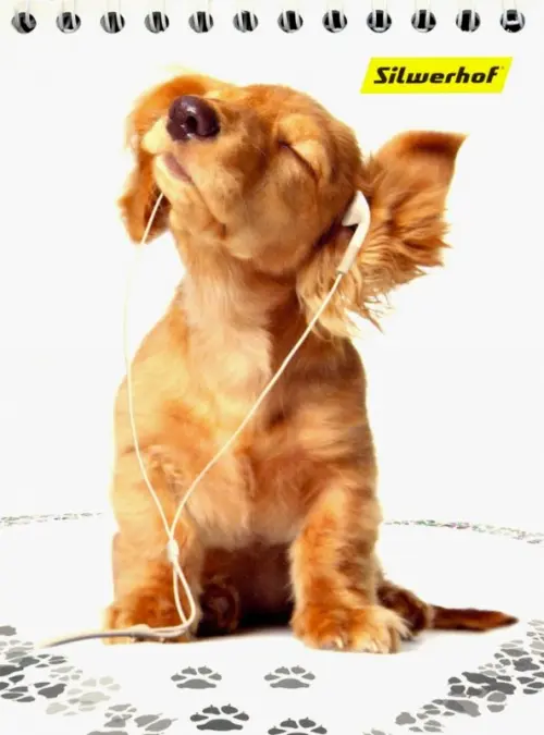 Блокнот Щенята 40 листов А6 гребень 40₽