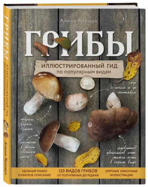 

Грибы. Иллюстрированный гид по популярным видам, Серый
