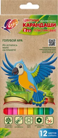 Карандаши цветные Zoo, пластиковые, 12 цветов