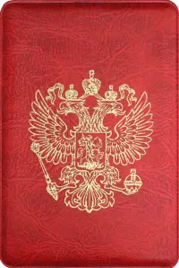 Обложка-карман для карт и пропусков, в ассортименте