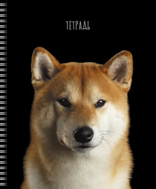 

Тетрадь Selfie dog, А5, 48 листов, клетка, гребень, Чёрный