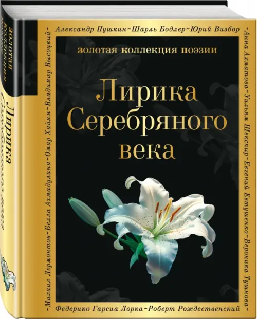 

Лирика Серебряного века, Чёрный