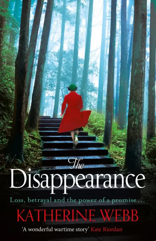 

The Disappearance