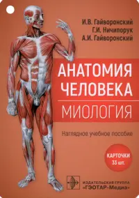 Анатомия человека. Миология. Комплект карточек. Наглядное учебное пособие