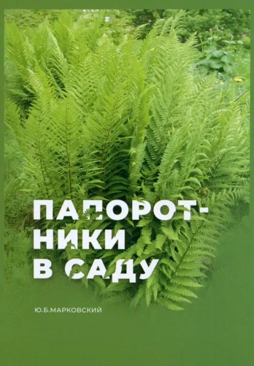 

Папоротники в саду, Зелёный
