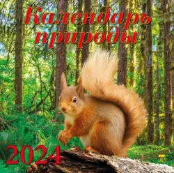 2024 Календарь природы