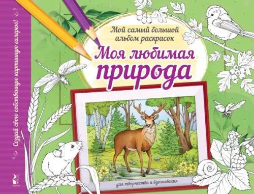 

Моя любимая природа. Альбом для творчества и вдохновения, Зелёный