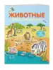Миниатюра 2