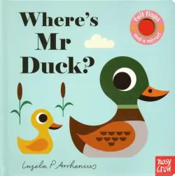 Where's Mr Duck?