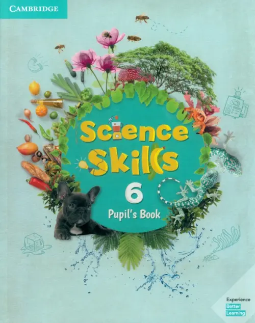 Science Skills. Level 6. Pupils Book