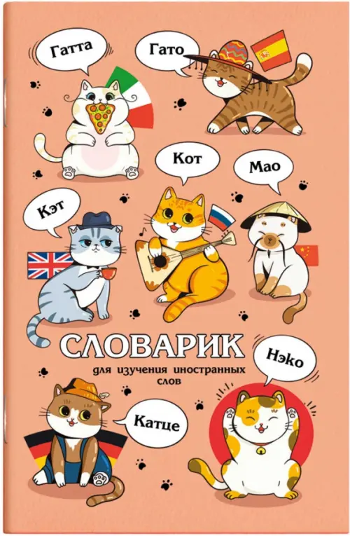 

Словарик для изучения иностранных слов Иностранцы, А6, 32 листа, Оранжевый