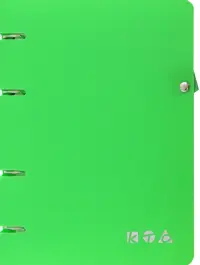 Тетрадь на кольцах Зеленый, 80 листов, А5, клетка