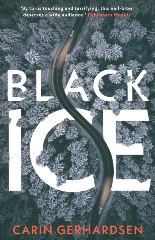 

Black Ice, Серый