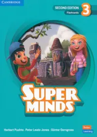 Super Minds. 2nd Edition. Level 3. Flashcards