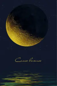 Книга для записей В свете луны, 80 листов, А5, клетка