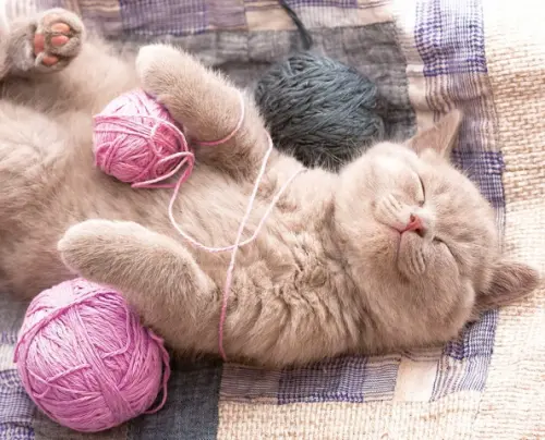

Алмазная мозаика Котенок с клубком