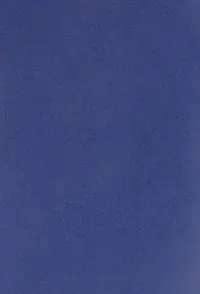 Тетрадь для конспектов Синий, А4, 96 листов, клетка