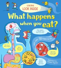 Look Inside What Happens When You Eat