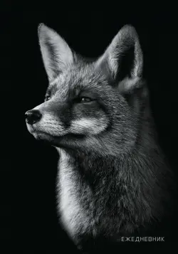 Ежедневник недатированный Лиса, А5, 128 листов