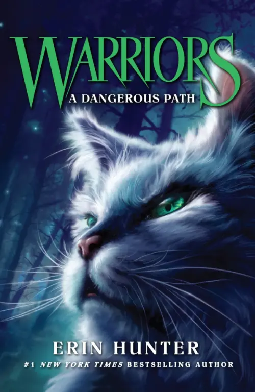 

A Dangerous Path