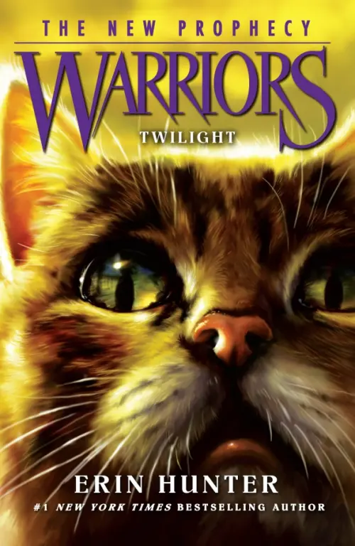 

Twilight