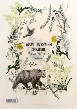 Набор папок-уголков Natural Life, A4, 4 штуки, в ассортименте