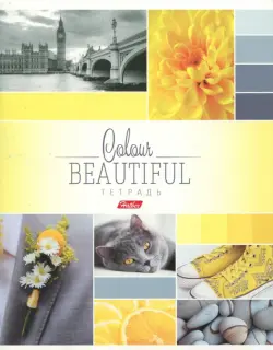 Тетрадь общая Beautiful Colour, 96 листов, А5, клетка, в ассортименте