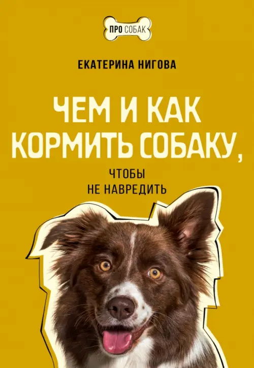 

Чем и как кормить собаку, чтобы не навредить, Оранжевый