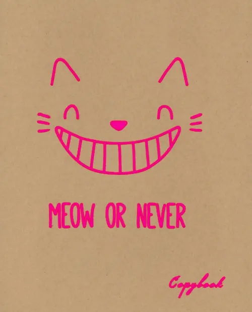Тетрадь Funny Pink 48 листов клетка 86₽