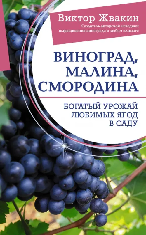 

Виноград, малина, смородина. Богатый урожай любимых ягод в саду