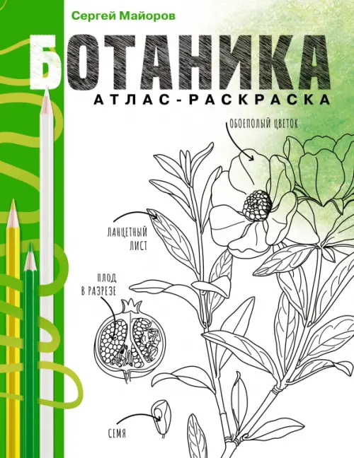 

Ботаника. Атлас-раскраска, Белый