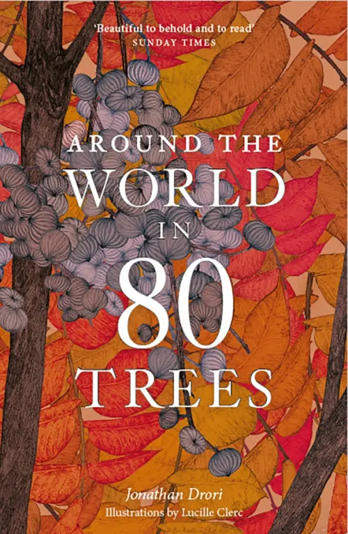 

Around the World in 80 Trees, Оранжевый