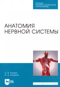 Анатомия нервной системы. Учебное пособие для СПО