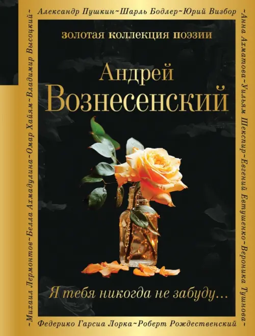 

Я тебя никогда не забуду..., Чёрный