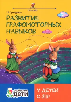 Развитие графомоторных навыков у детей с ЗПР. Тренажер