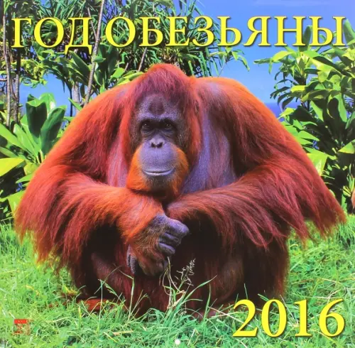 

Календарь настенный на 2016 год. Год обезьяны, Зелёный