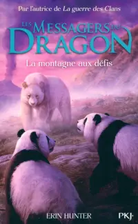 Les Messagers du Dragon. Tome 3. La montagne aux défis