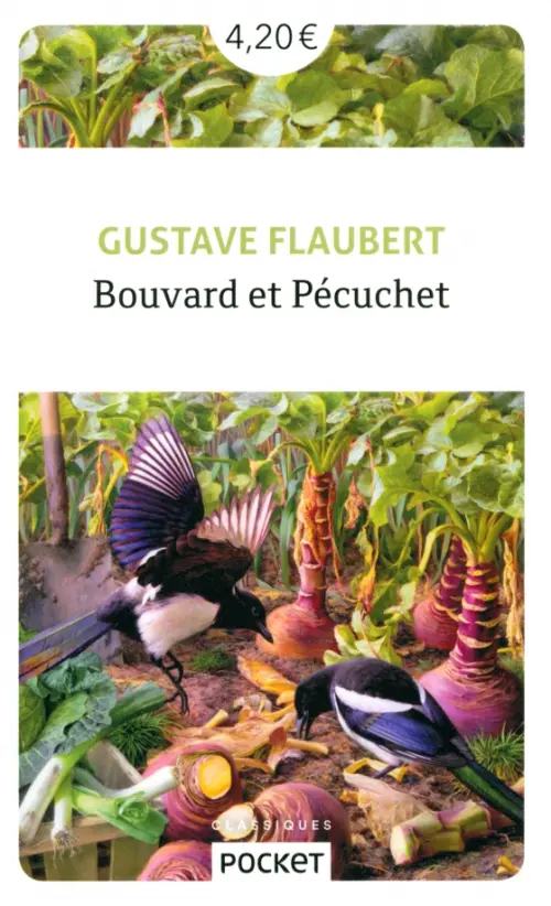 

Bouvard et Pecuchet