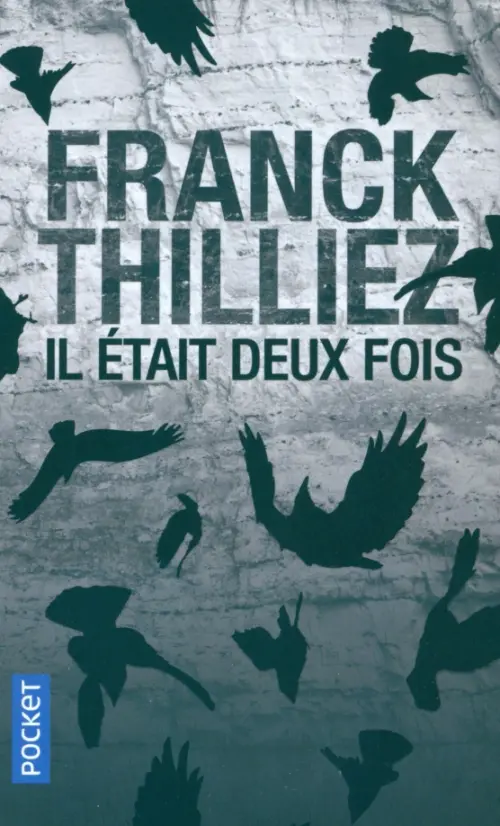 

Il etait deux fois..., Серый