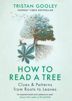 How to Read a Tree. Clues & Patterns from Roots to Leaves